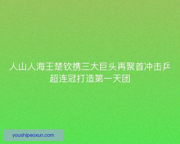 人山人海王楚钦携三大巨头再聚首冲击乒超连冠打造第一天团