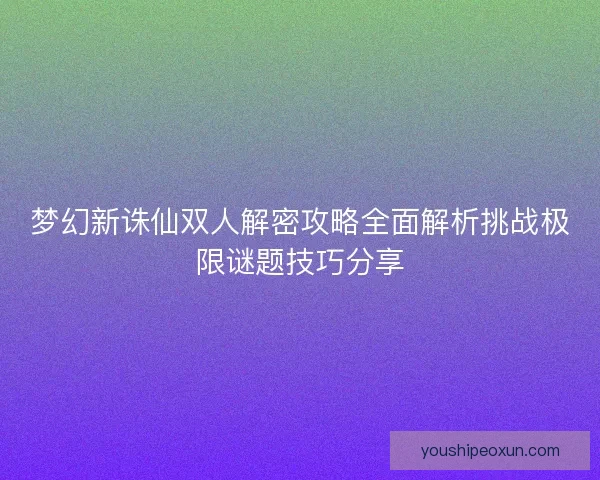 梦幻新诛仙双人解密攻略全面解析挑战极限谜题技巧分享