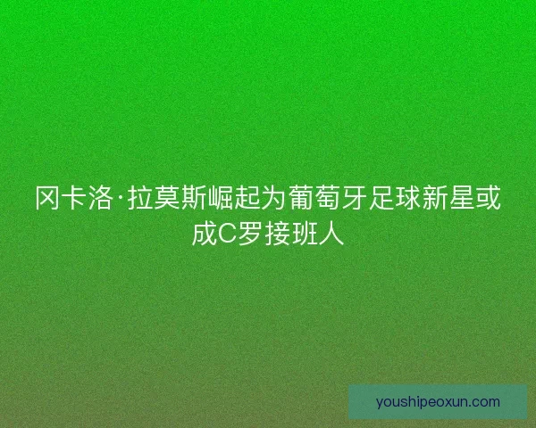 冈卡洛·拉莫斯崛起为葡萄牙足球新星或成C罗接班人 冈卡洛·拉莫斯崛起为葡萄牙足球新星或成C罗接班人